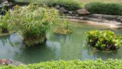 Pandan Valley (D21), Condominium #199095132